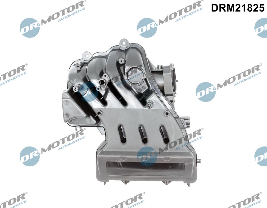 Intake Manifold Module - DRM21825 Dr.Motor Automotive