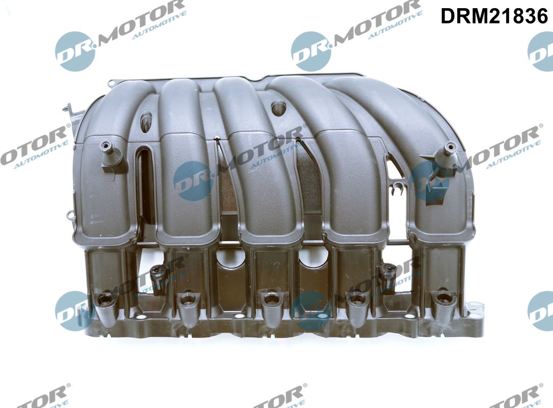 Intake Manifold Module - DRM21836 Dr.Motor Automotive
