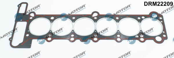 Guarnizione, Testata - DRM22209 Dr.Motor Automotive
