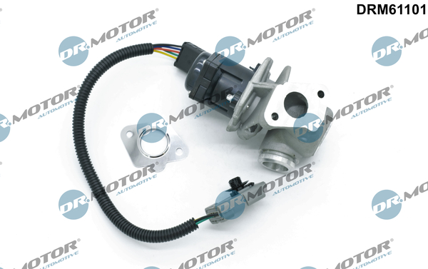 EGR Valve - DRM61101 Dr.Motor Automotive