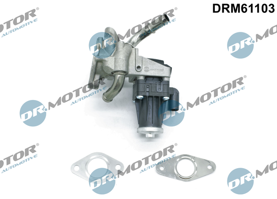 ERG vožtuvas - DRM61103 Dr.Motor Automotive