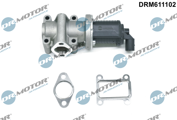EGR Valve - DRM611102 Dr.Motor Automotive