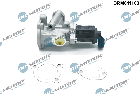 EGR Valve - DRM611103 Dr.Motor Automotive