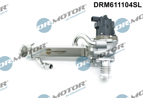 EGR Valve - DRM611104SL Dr.Motor Automotive