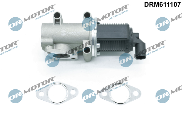 EGR Valve - DRM611107 Dr.Motor Automotive