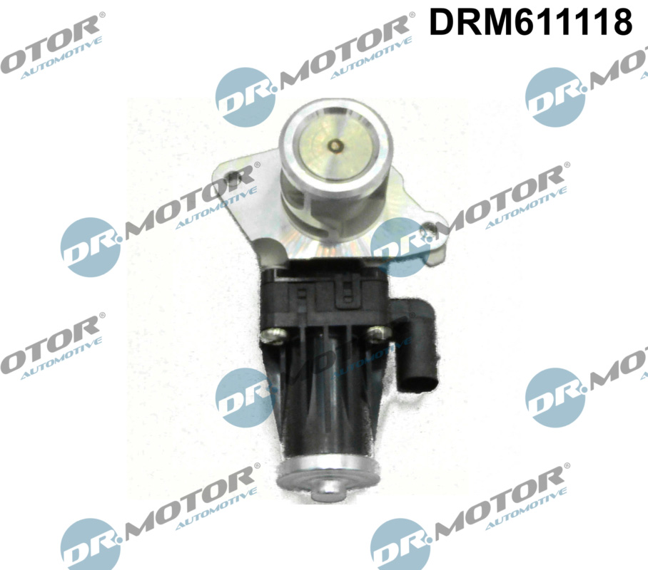 EGR Valve - DRM611118 Dr.Motor Automotive