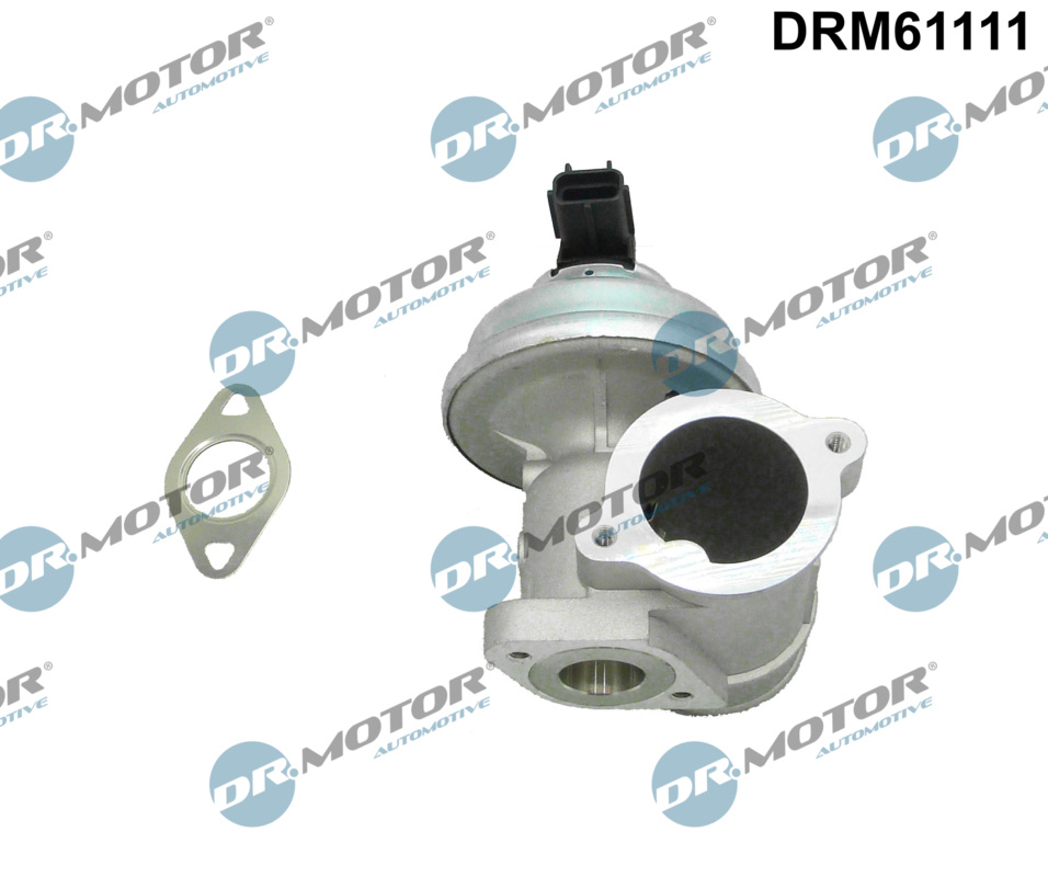 EGR Valve - DRM61111 Dr.Motor Automotive