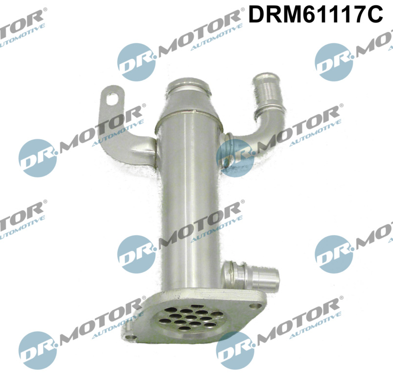Radiatore, Ricircolo gas scarico - DRM61117C Dr.Motor Automotive