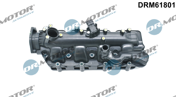 Modulo collettore aspirazione - DRM61801 Dr.Motor Automotive
