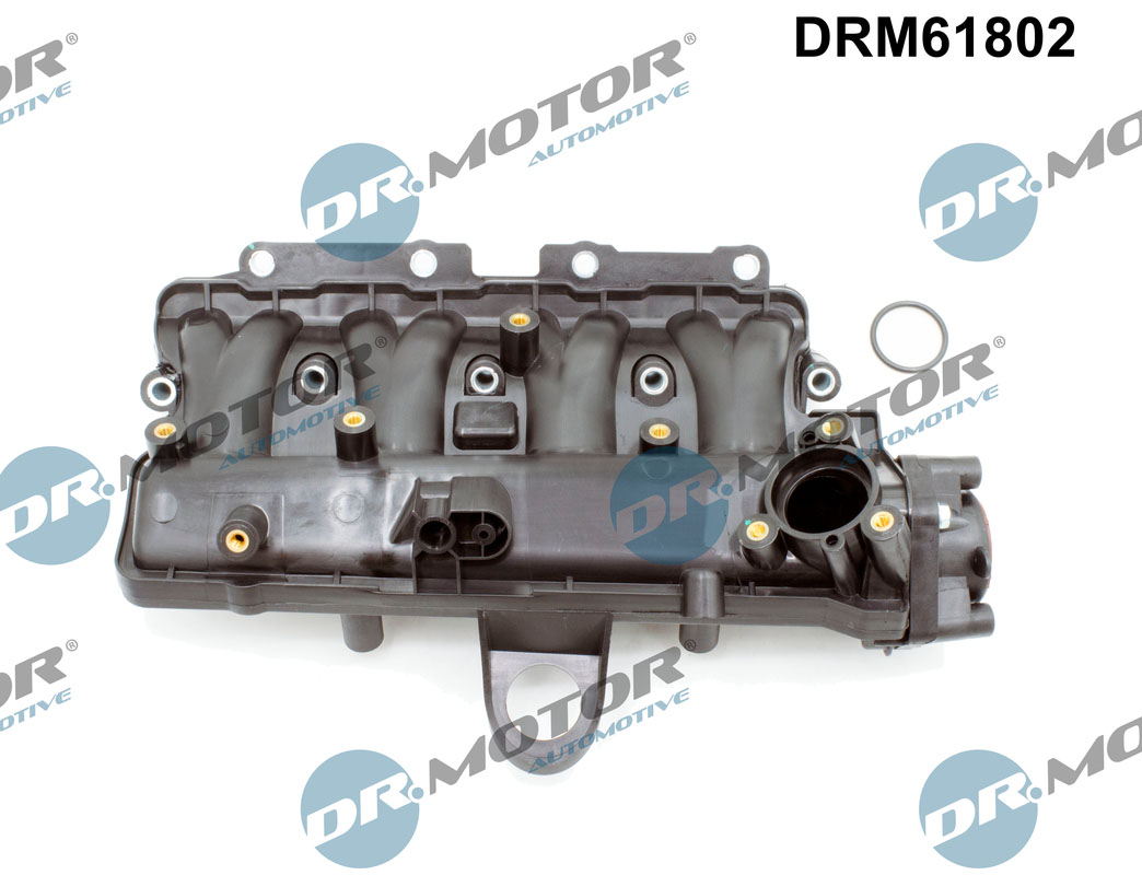Intake Manifold Module - DRM61802 Dr.Motor Automotive