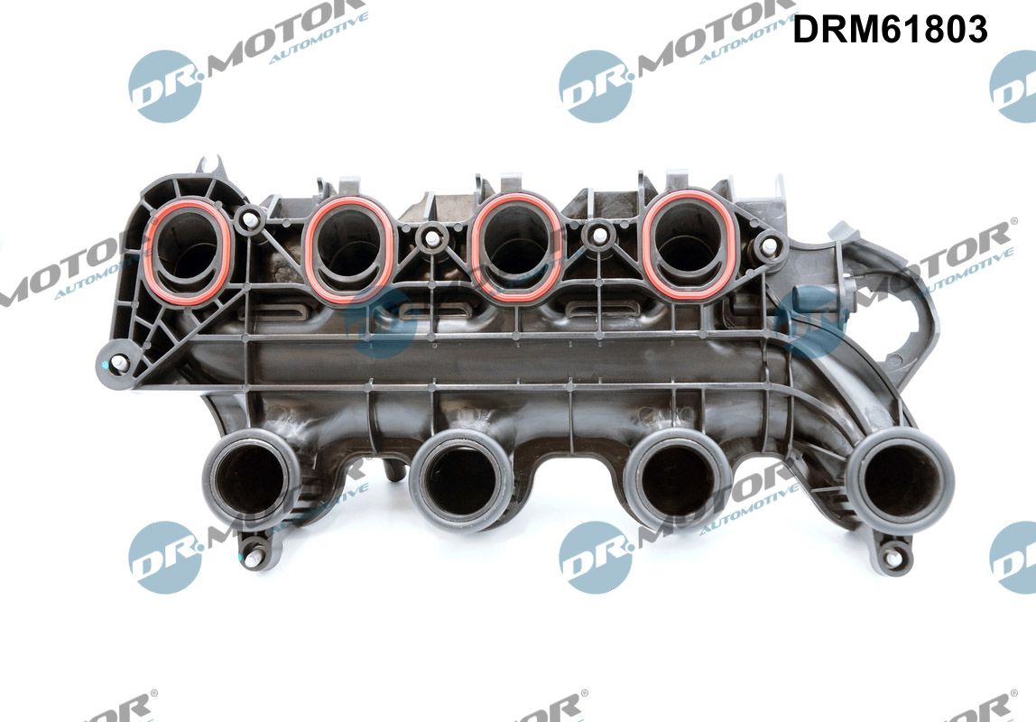 įsiurbimo kolektoriaus modulis - DRM61803 Dr.Motor Automotive