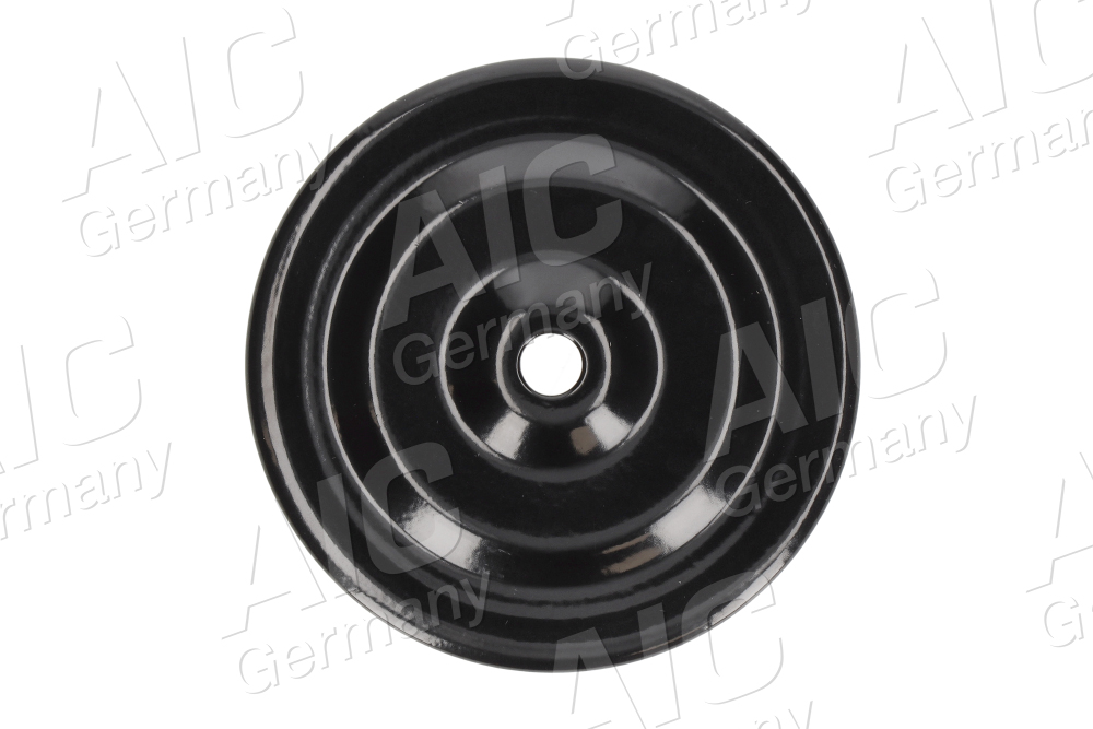 Spring Cap - 50200 AIC
