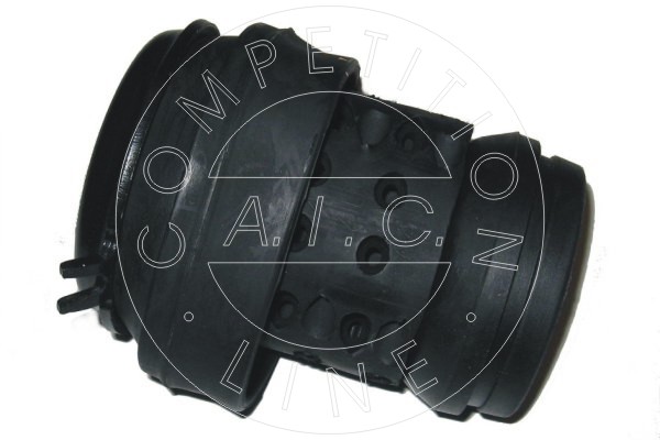 Lagerung, Motor - 50209 AIC