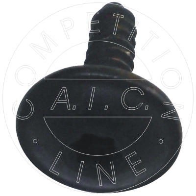 Bullone/Vite - 55665 AIC