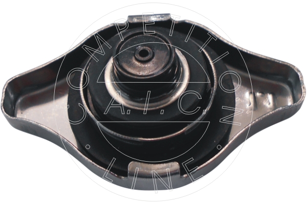 Sealing Cap, radiator - 56048 AIC