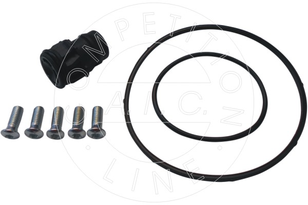 Kit riparazione, Pompa a depressione (Sistema frenante) - 56249 AIC