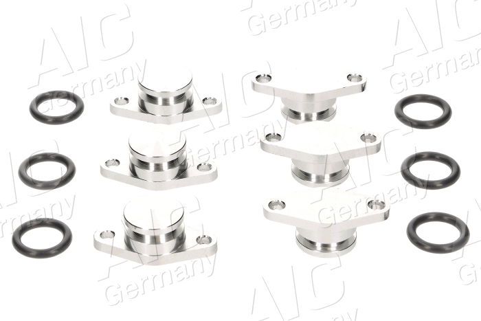 Swirl Flaps, suction pipe - 56665 AIC