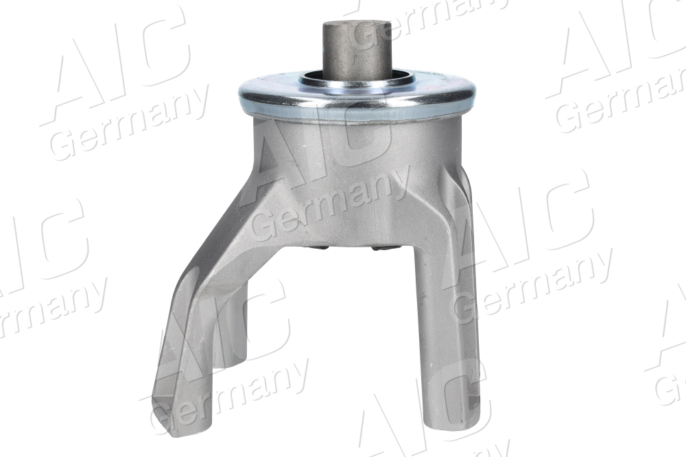 Sospensione, Motore - 57405 AIC