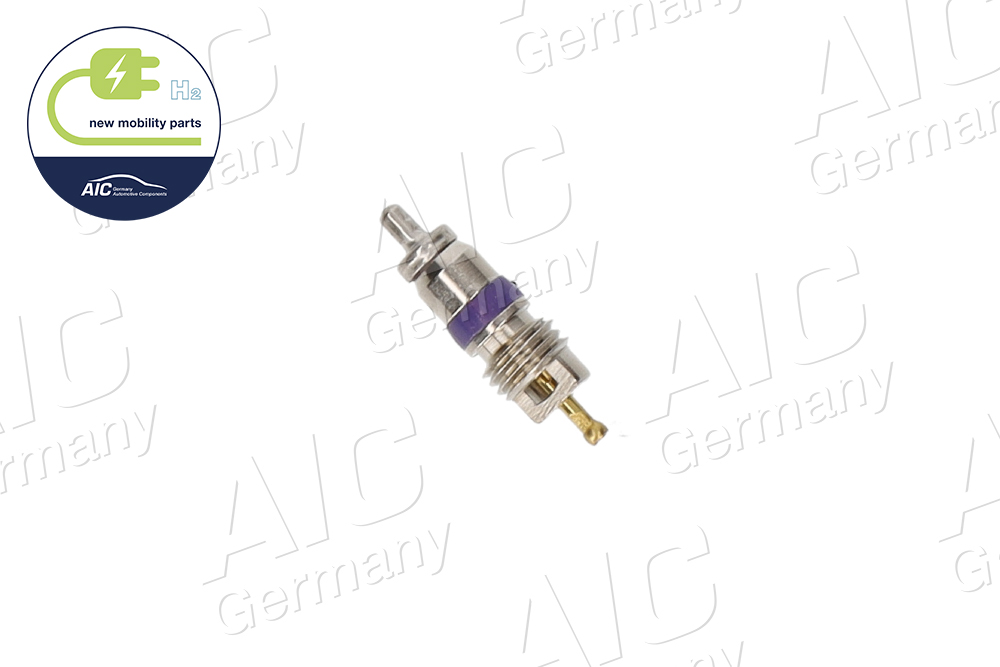 Anima valvola, Valvola manutenzione - 71323 AIC