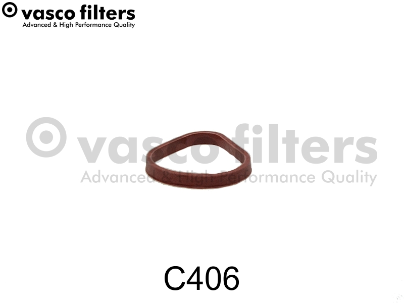 Fuel filter - C406 DAVID VASCO