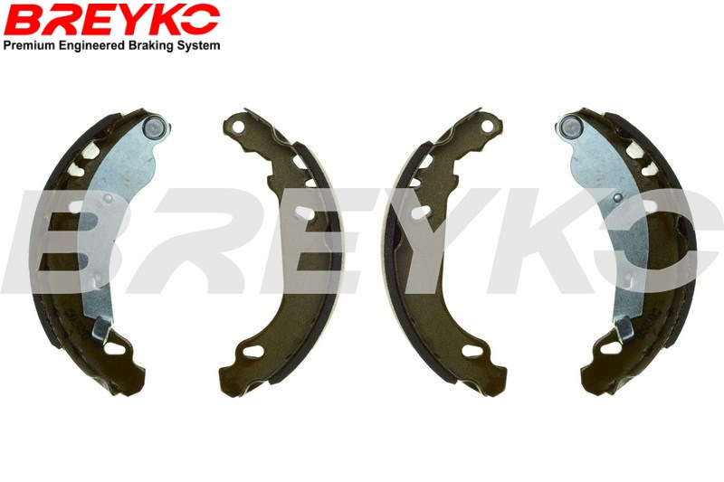 Brake Shoe Set - W8211 DAVID VASCO