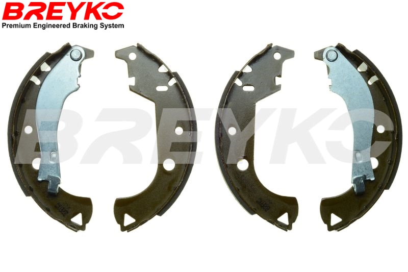 Brake Shoe Set - W8442 DAVID VASCO