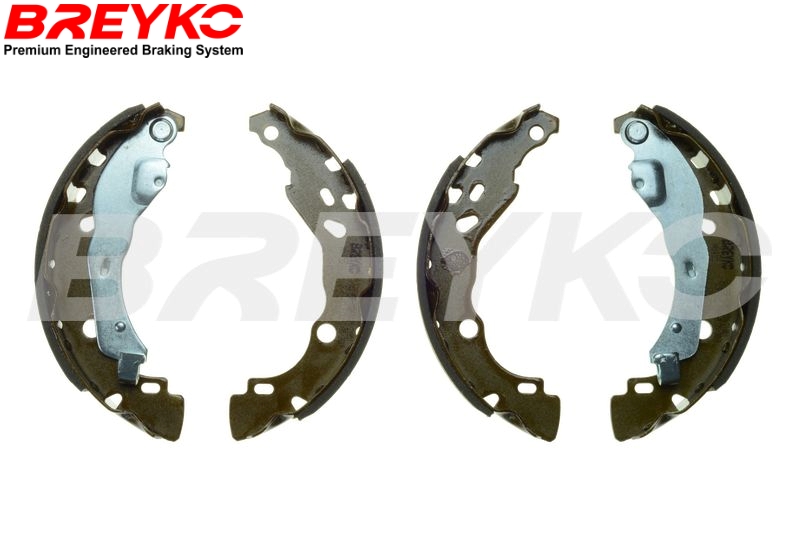 Brake Shoe Set - W8455 DAVID VASCO
