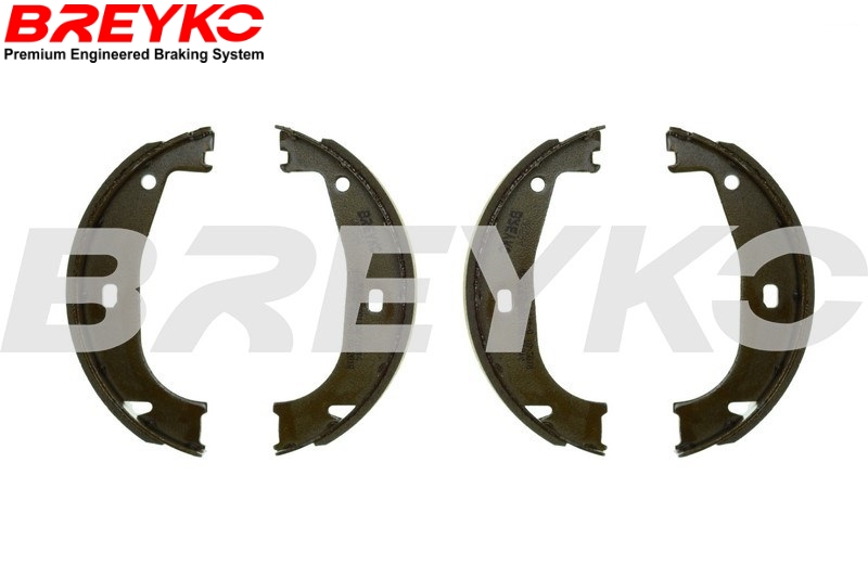 Kit ganasce freno - W8594 DAVID VASCO