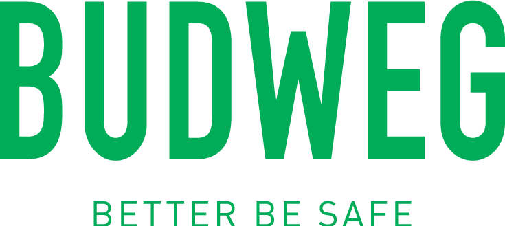 BUDWEG CALIPER image