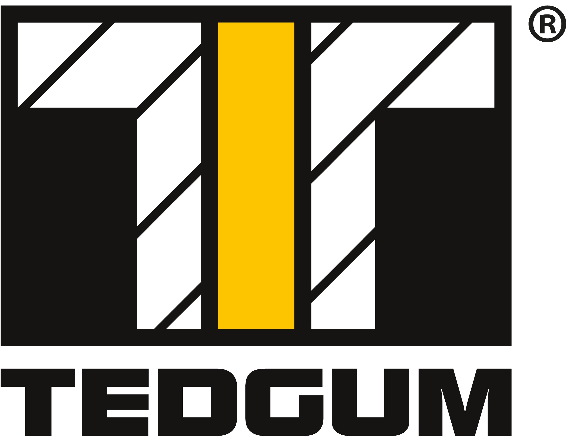 TEDGUM paveikslėlis