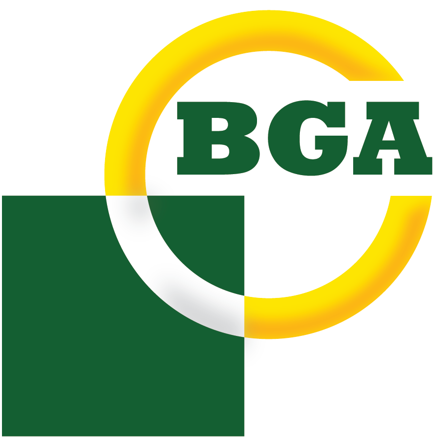 BGA image