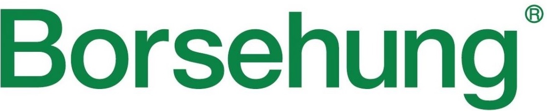 Borsehung image