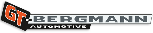 GT-BERGMANN image