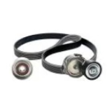 Cinghia Poly-V /Kit icona